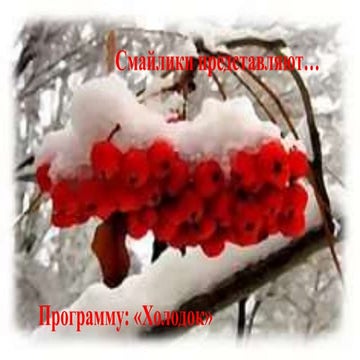 сайт ромашка