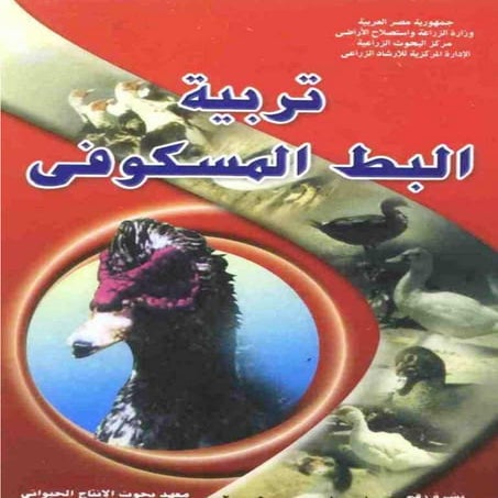 تربية البط المسكوفي