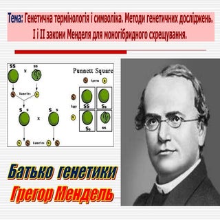 Презентація І та ІІ закони Менделя