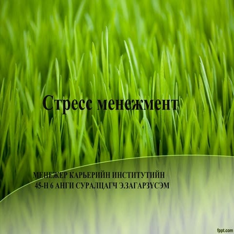 стресс менежмент 