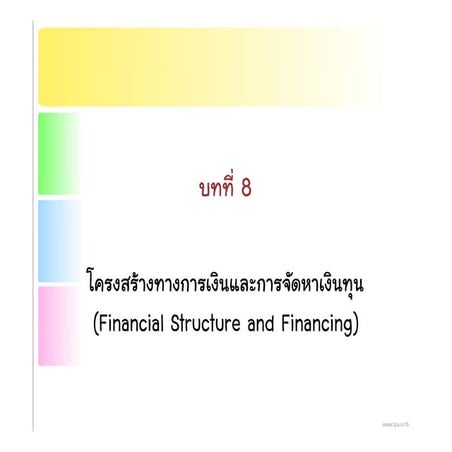 โครงสร้างทางการเงินและการจัดหาเงินทุน