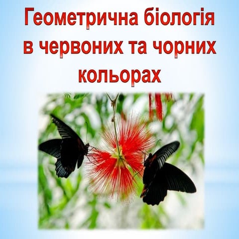 геометрія і биологія 8клас