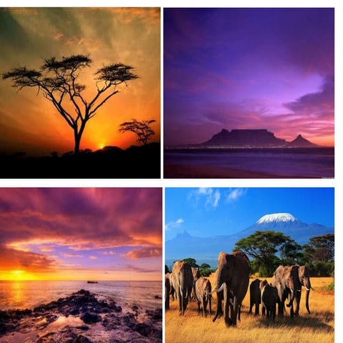 Своя африка