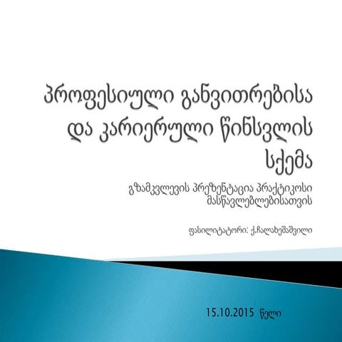 გზამკვლევის პრეზენტაცია პრაქტიკოსი მასწავლებლებისათვის