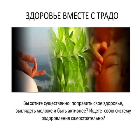 Будь здоровым вместе с Традо