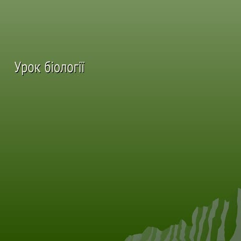 Презентація Плазуни