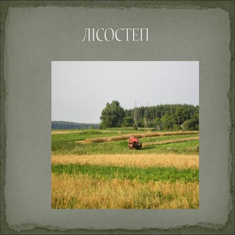 Лісостеп. Парійчук Л.П. | PPT