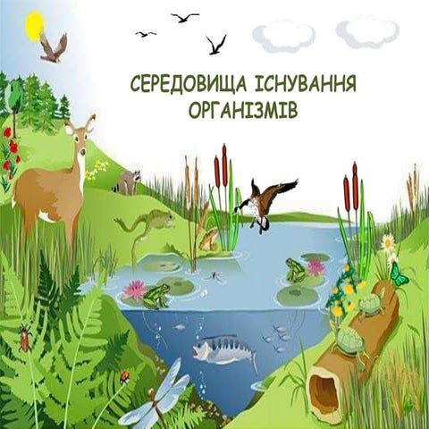 Лекція № 1. “Зубчасті передачі. Класифікація. Геометричні та ...