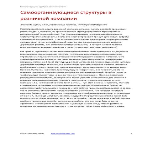 Cамоорганизующиеся структуры в розничной компании