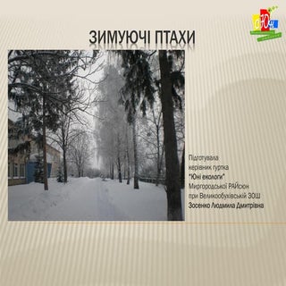 Зимуючі птахи