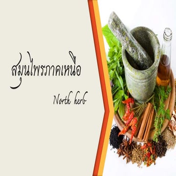 โครงงานคอมพิวเตอร์