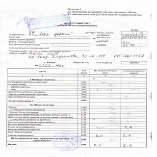 Фінансовий звіт