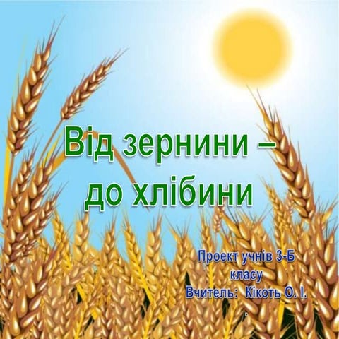 проект від зернини  до хлібини