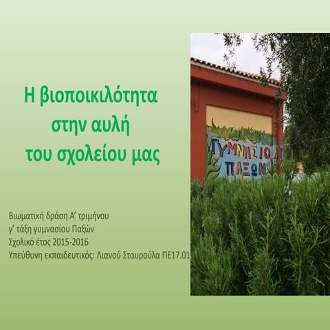 Η βιοποικιλότητα στην αυλή του σχολείου μας