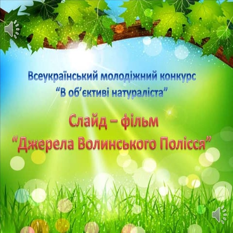 Слайд-фільм "Джерела Волинського Полісся"