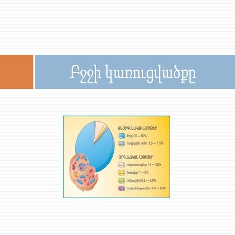 Բբջջի Կառուցվածքը