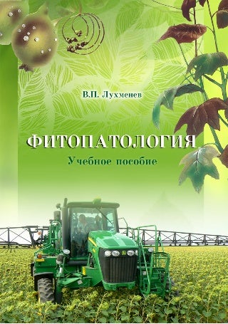 Гъба Трюфел - Къде Расте, Полезни Свойства, Как Да Готвя, Видео