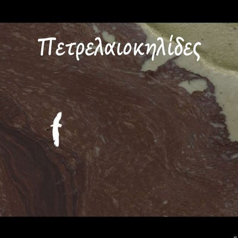 πετρελαιοκηλίδες