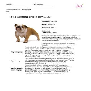 κατοικίδια ζώα εργασία!!!!