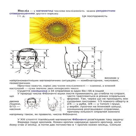 числа фібоначчі | PDF