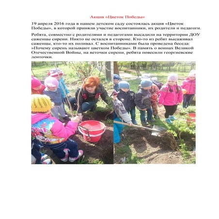 акция цветок победы