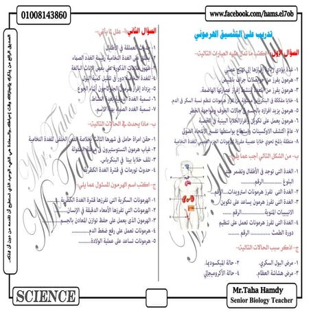 تدريب على التنسيق الهرموني