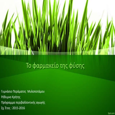 Το Φαρμακείο Της Φύσης