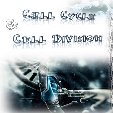 الانقسام الخلوي cell cycle