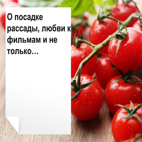 Областной слет педагогов