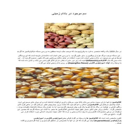 سم موجود در بادام زمینی