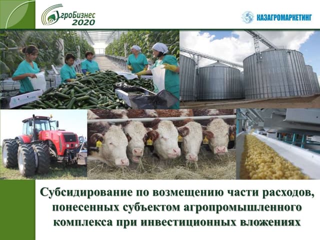 субъекты агропромышленного комплекса