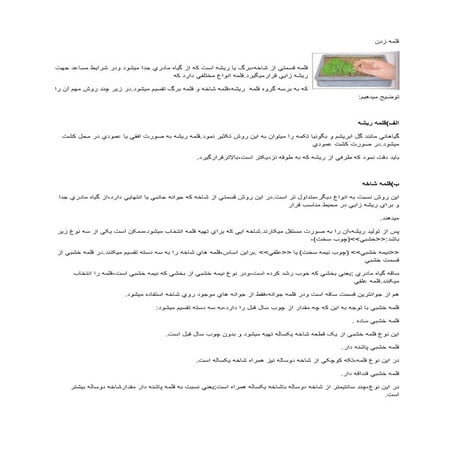 قلمه زدن درختان 