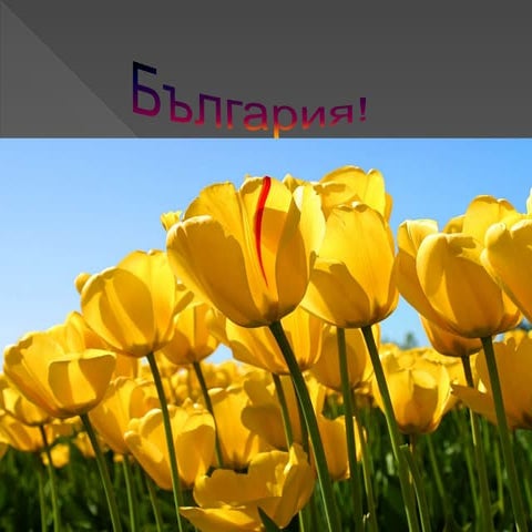 България | PPT