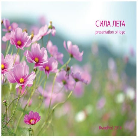 Идеи логотипа для бренда "Сила лета"