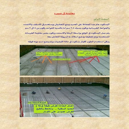 معلومه فى صوره