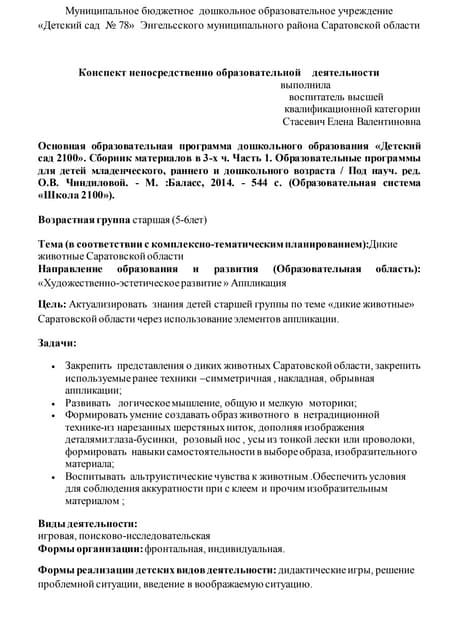 правка аппликации стасевич е.в.