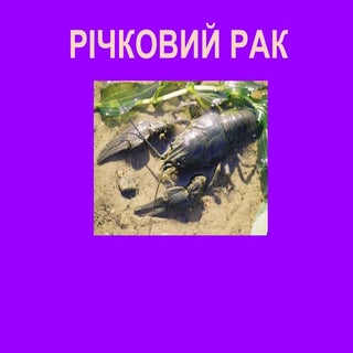 річковий рак