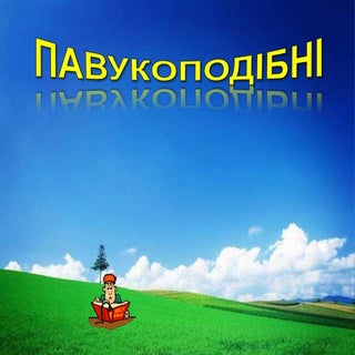 різноман. павук.