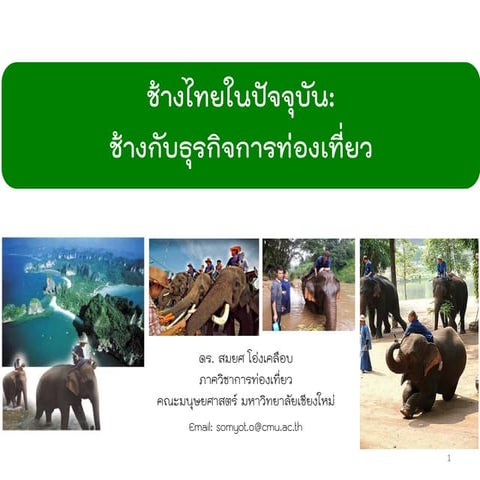 ช้างไทยในปัจจุบัน ช้างกับธุรกิจการท่องเที่ยว