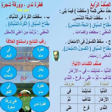أنشطة وتدريبات القرائية لمنهج اللغة العربية   الصف الرابع الابتدائى - الفصل ا...