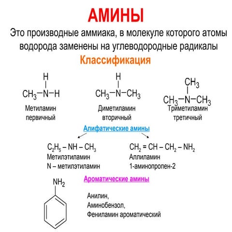 Амины | PPT