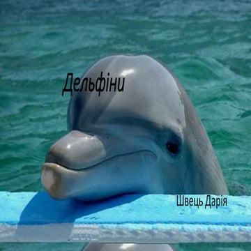 дельфіни | PPT