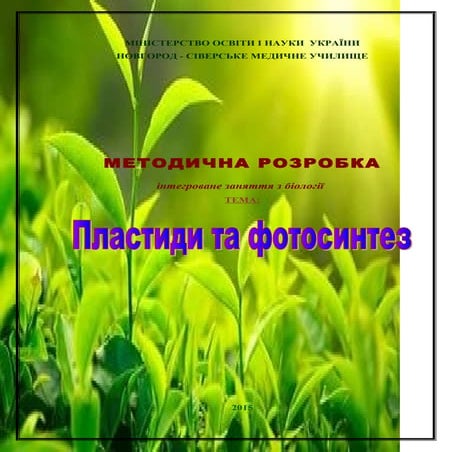 методична розробка інтегрованого заняття на тему: " Пластиди та фотосинтез"