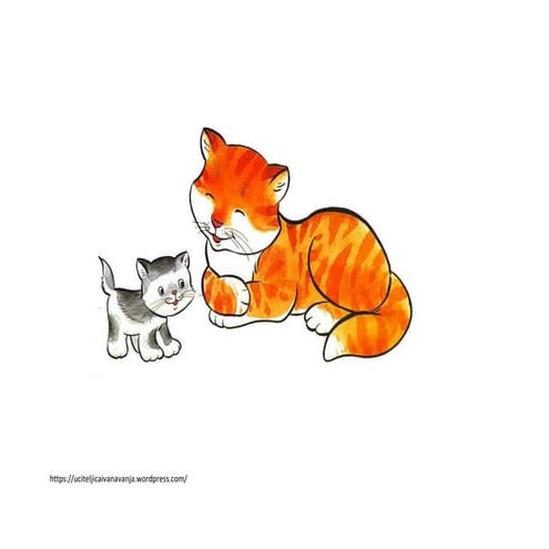 домаће животиње и младунци