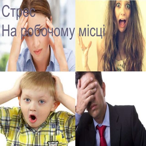 призентація.хомяка