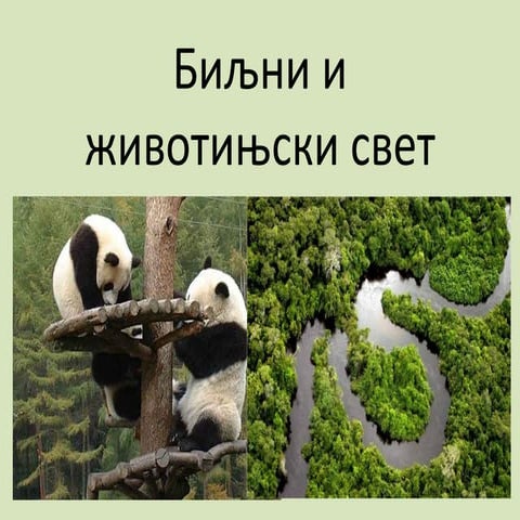 Биљни и животињски свет | PPT