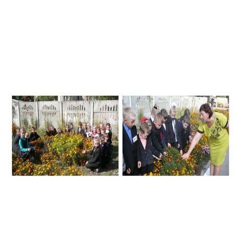 Проект 1-В класу