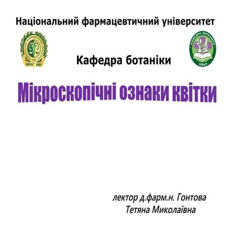 цветок анат