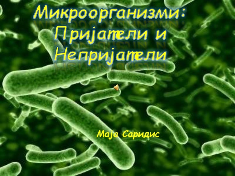 микроорганизми