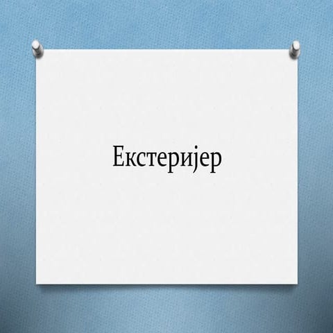 екстеријер   раша